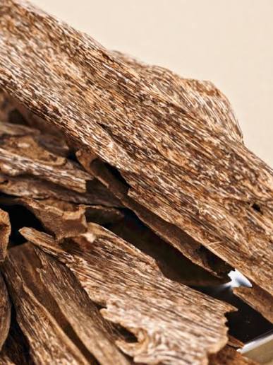 What Is Oud? A Guide to the Scent at the Heart of Middle Eastern Perfumery